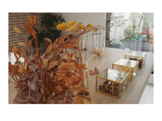 コラムテスト01